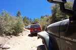 Miller Jeep Trail 022.jpg